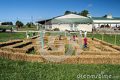 Children Playing in a Maze Editorial Stock Photo